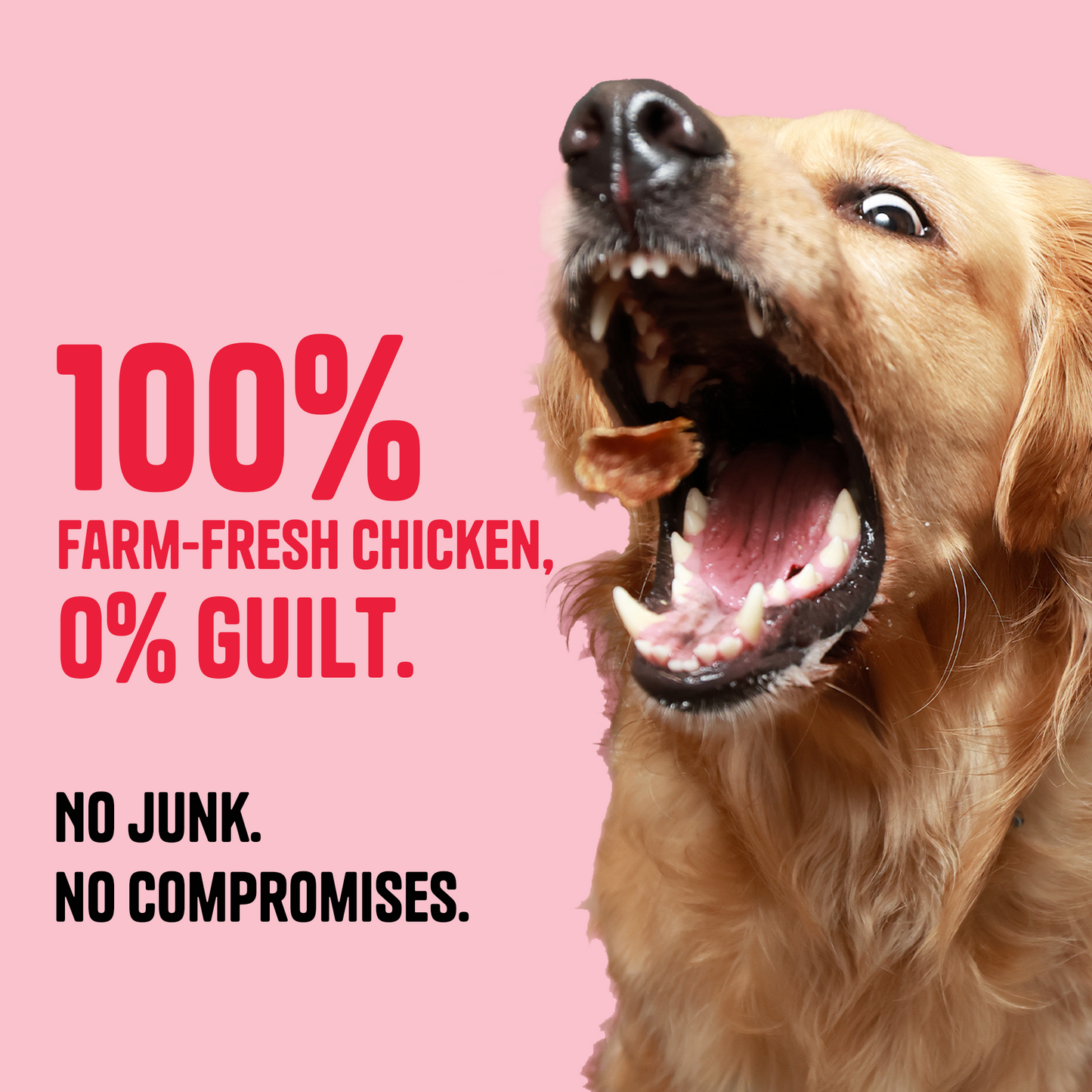 Chicken Jerky